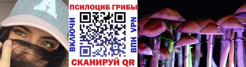 Купить  Енисейск  Галлюциногенные грибы Magic Shrooms 